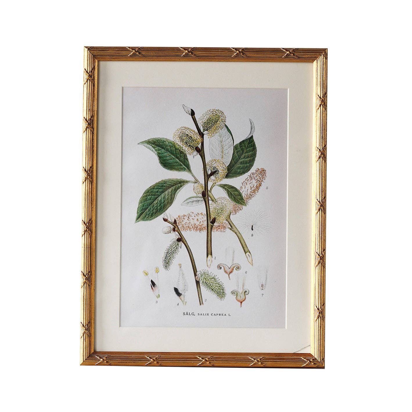 Arundel Matted Frame: 4"x6" w. Stand