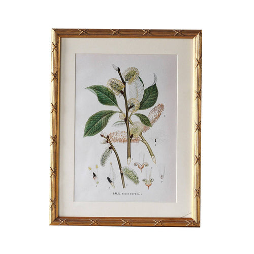 Arundel Matted Frame: 4"x6" w. Stand
