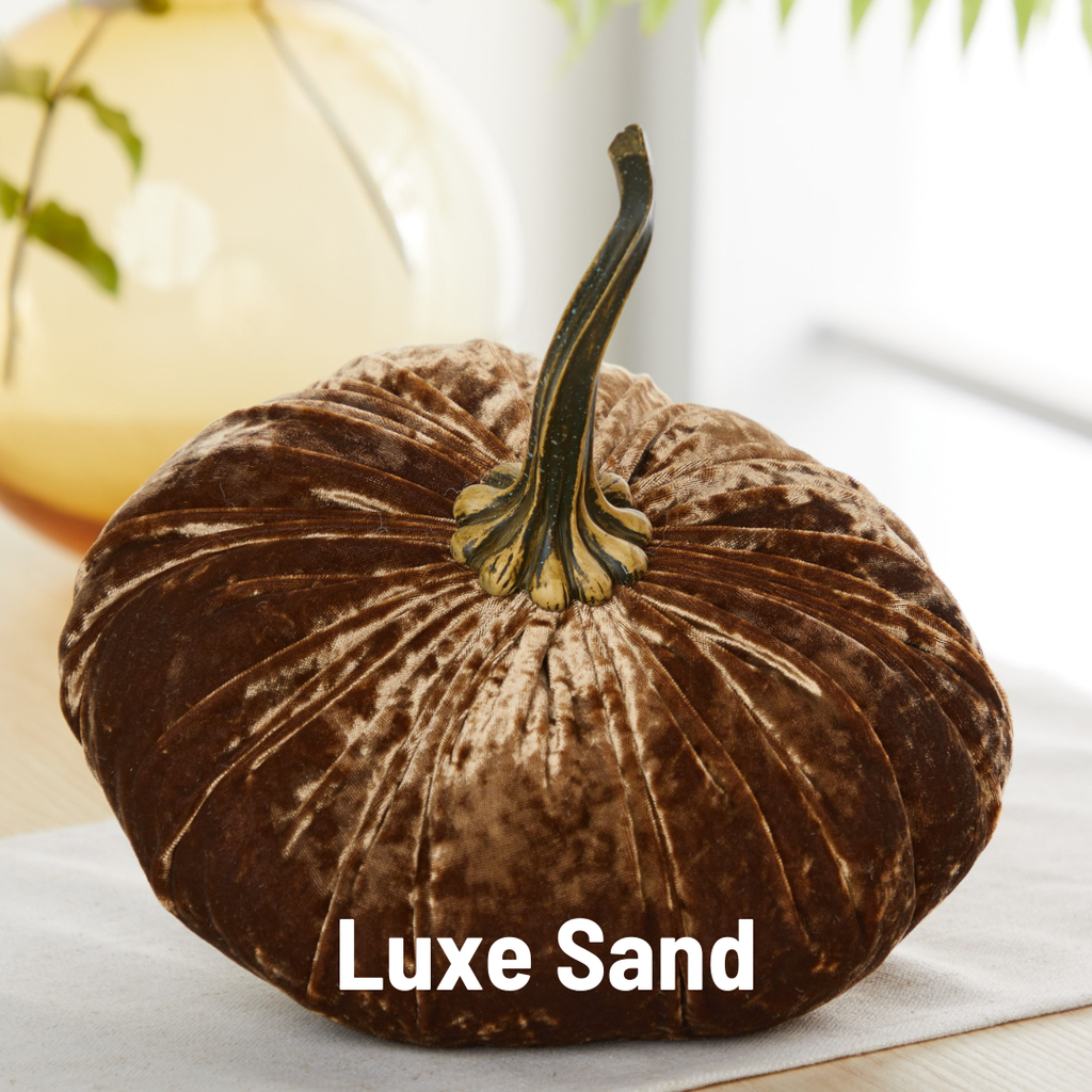 Pumpkin Extra Large Velvet,Harvest