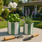 Planters  - Green/White Ceramic Striped, 6 in