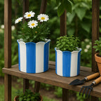 Planters  - Blue Ceramic Striped Scallop, 6"