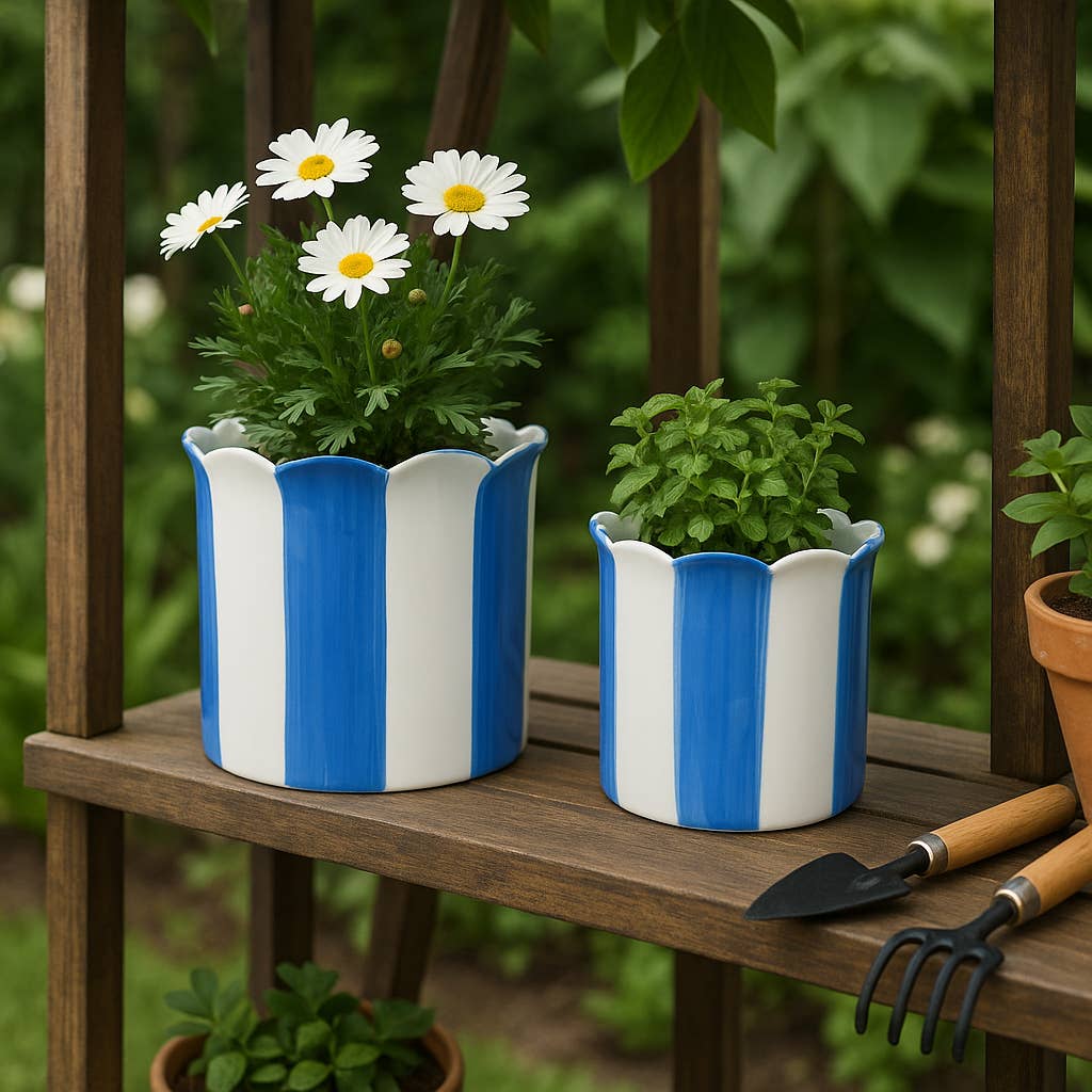 Planters  - Blue Ceramic Striped Scallop, 6"
