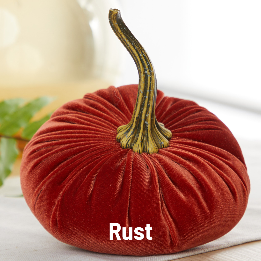 Pumpkin Large Velvet,  Fern