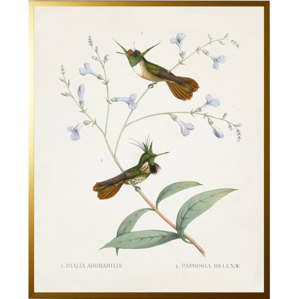 Vintage hummingbird S on a distressed background: Beaded gold frame 1315-70 / 8" X 10"