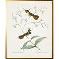 Vintage hummingbird S on a distressed background: Beaded gold frame 1315-70 / 8" X 10"