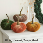 Pumpkin Small Velvet,  Fern