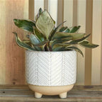 Ramos Chevron Cachepot, Stoneware - 4
