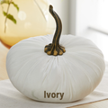 Pumpkin Extra Large Velvet, Ivory