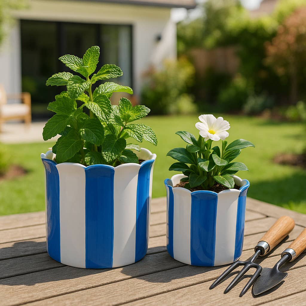 Planters  - Blue Ceramic Striped Scallop, 6"