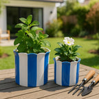 Planters  - Blue Ceramic Striped Scallop, 6"
