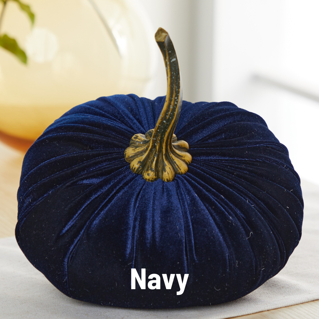 Pumpkin Extra Large Velvet, Ivory
