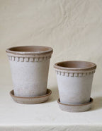 Coventry Terracotta Pots: Pale Terracotta / 6.3"d x 6"h