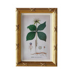 Arundel Matted Frame: 4"x6" w. Stand