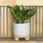 Ramos Horizontal Stripe Cachepot, Stoneware - 6