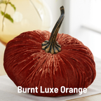 Pumpkin Extra Large Velvet, Ivory