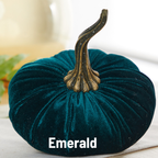 Pumpkin Large Velvet,  Fern