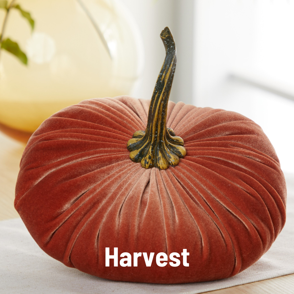 Pumpkin Extra Large Velvet, Ivory