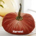 Pumpkin Extra Large Velvet,Harvest