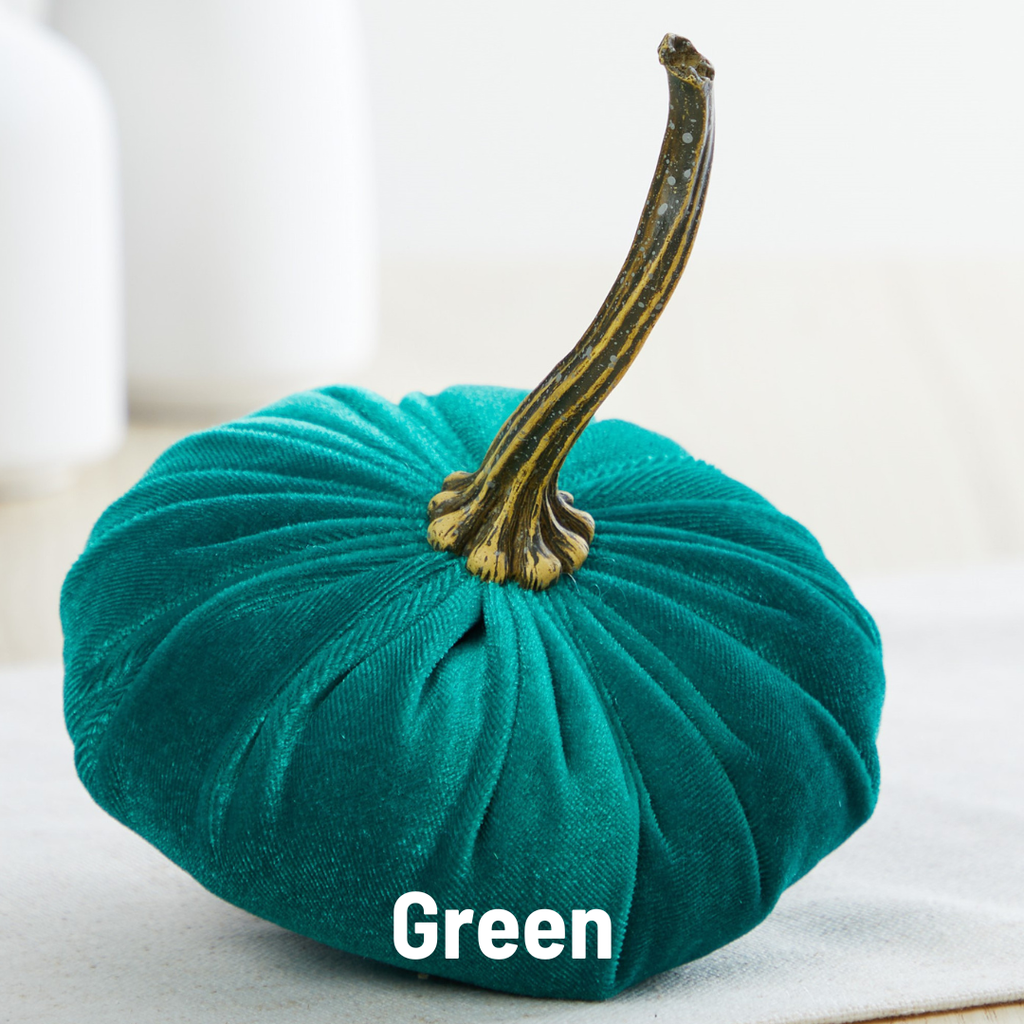 Pumpkin Small Velvet,  Fern