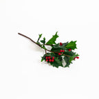 Holly Berry Spray 18 Inch