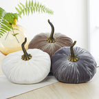 Pumpkin Extra Large Velvet, Ivory