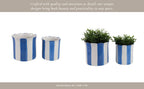 Planters  - Blue Ceramic Striped Scallop, 6"