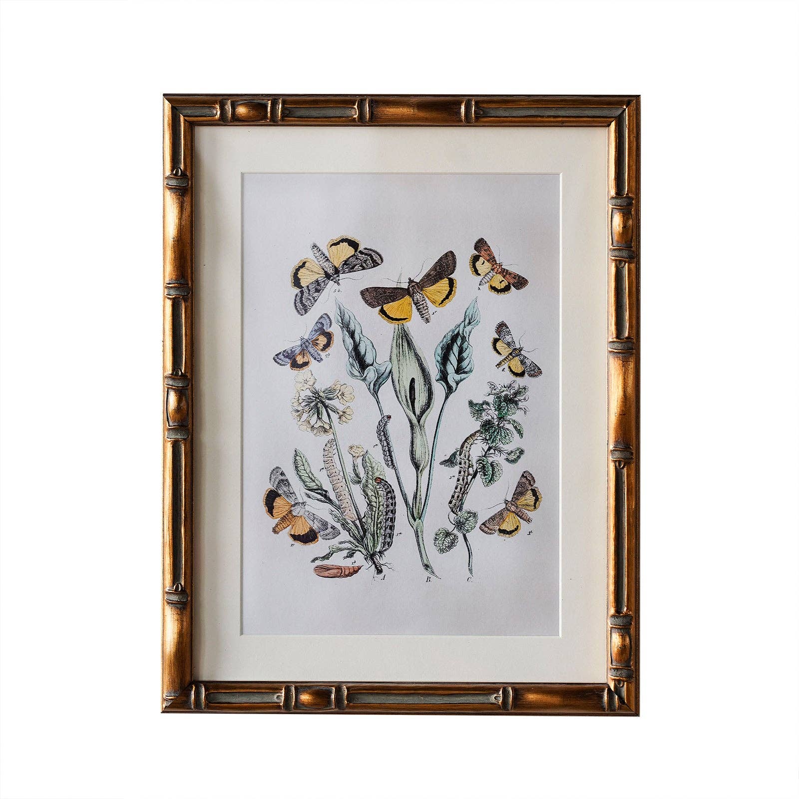 Burnley Matted Frame: 4" x 6" w. Stand