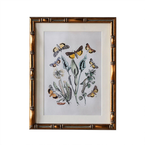 Burnley Matted Frame: 4" x 6" w. Stand