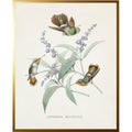 Vintage hummingbird T on a distressed background: Beaded Gold Frame 6864 Bg / 8" X 10"