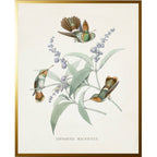 Vintage hummingbird T on a distressed background: Beaded Gold Frame 6864 Bg / 8" X 10"