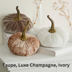Pumpkin Small Velvet,  Fern