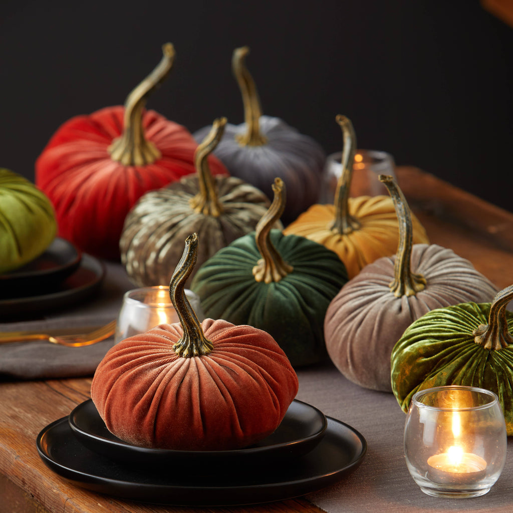 Pumpkin Small Velvet,  Fern