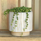 Ramos Vertical Stripe Cachepot, Stoneware - 4