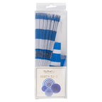 PLFN04 - Blue and White Party Fan Set