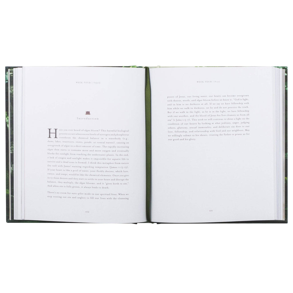 Bible Study: Unfold by Liesl Lamprecht