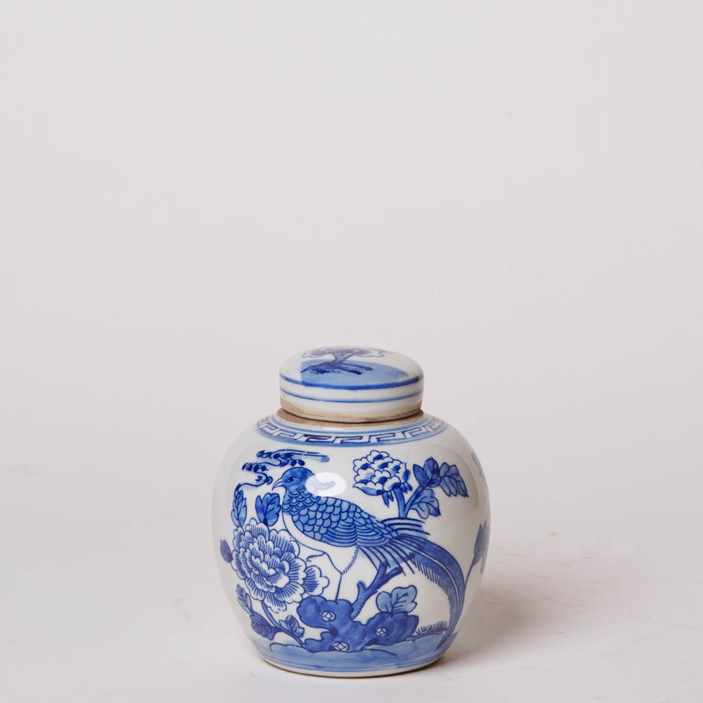 Blue and White Porcelain Golden Pheasant Round Storage Jar